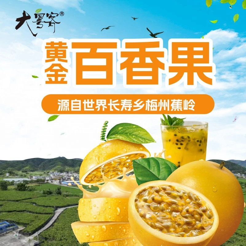 [顺丰包邮]梅州黄金百香果醇甜如蜜果香浓郁寿乡蕉岭大粤客出品