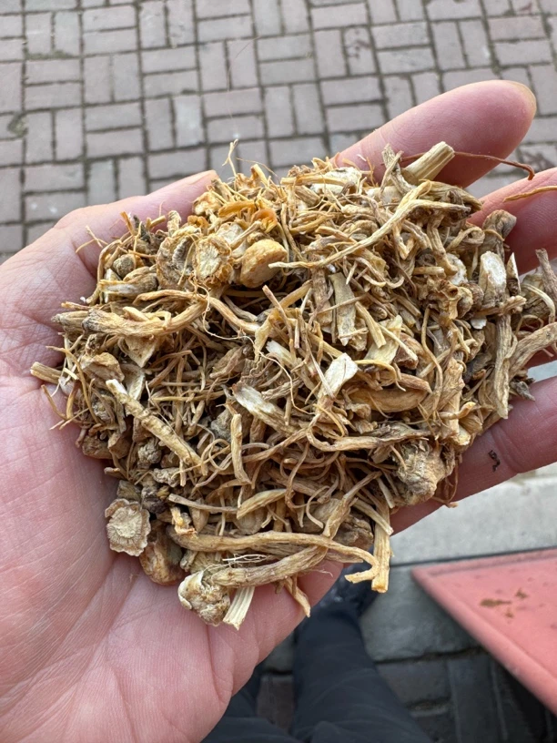 林下参须，干须，干品