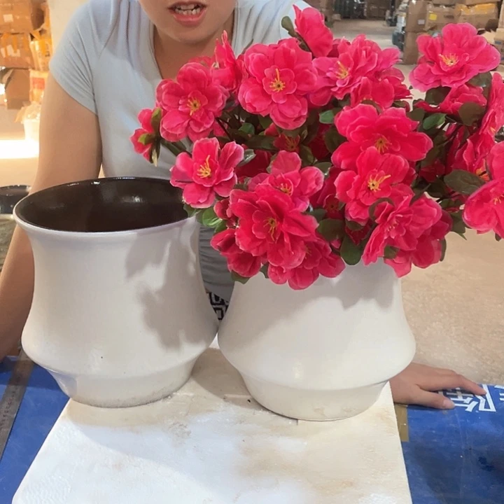 正品红陶20/20两个