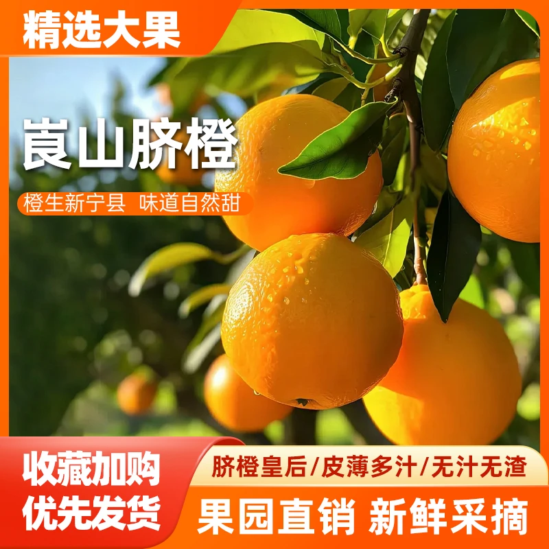 脐橙现摘果园直发新鲜水果