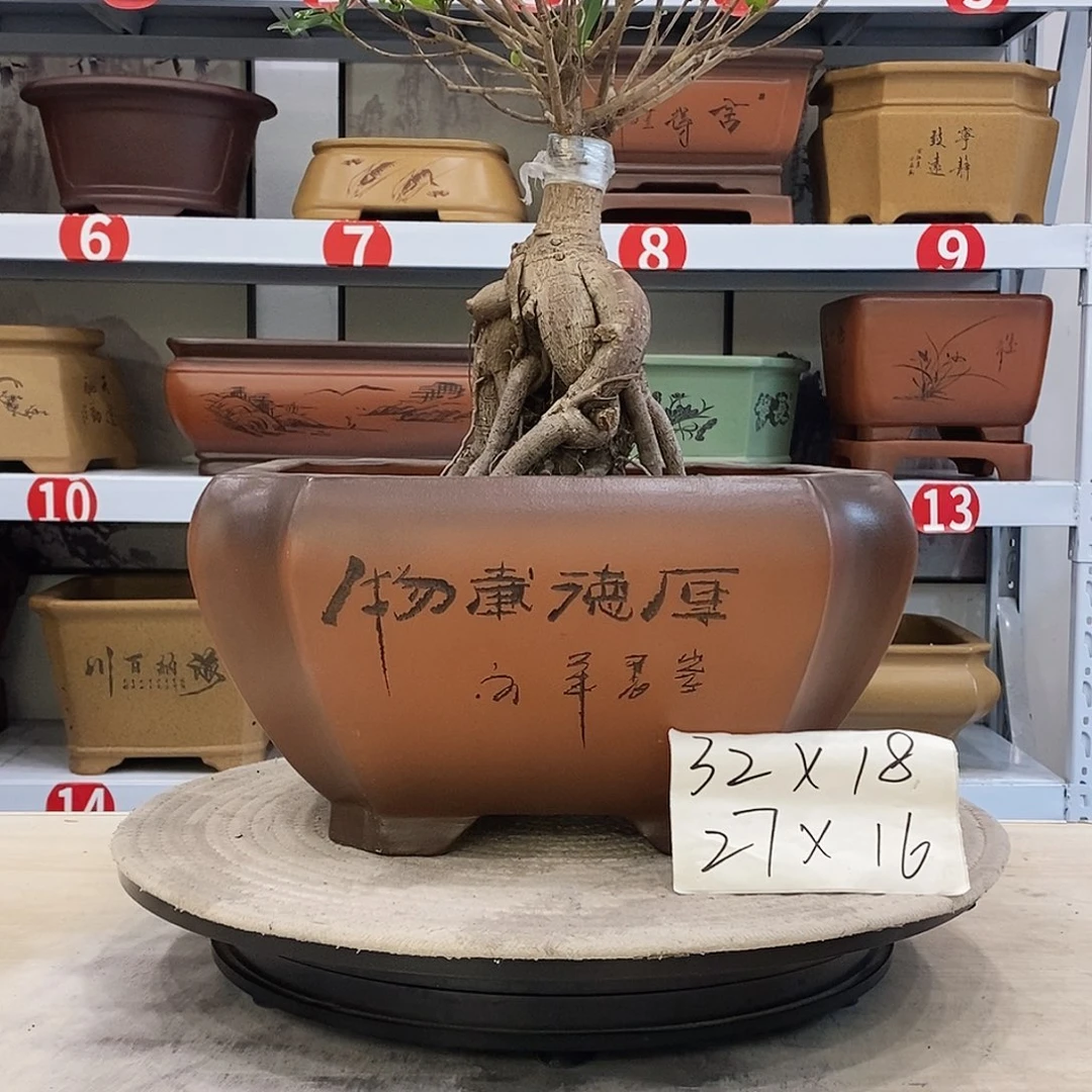 紫砂花盆紫砂花盆