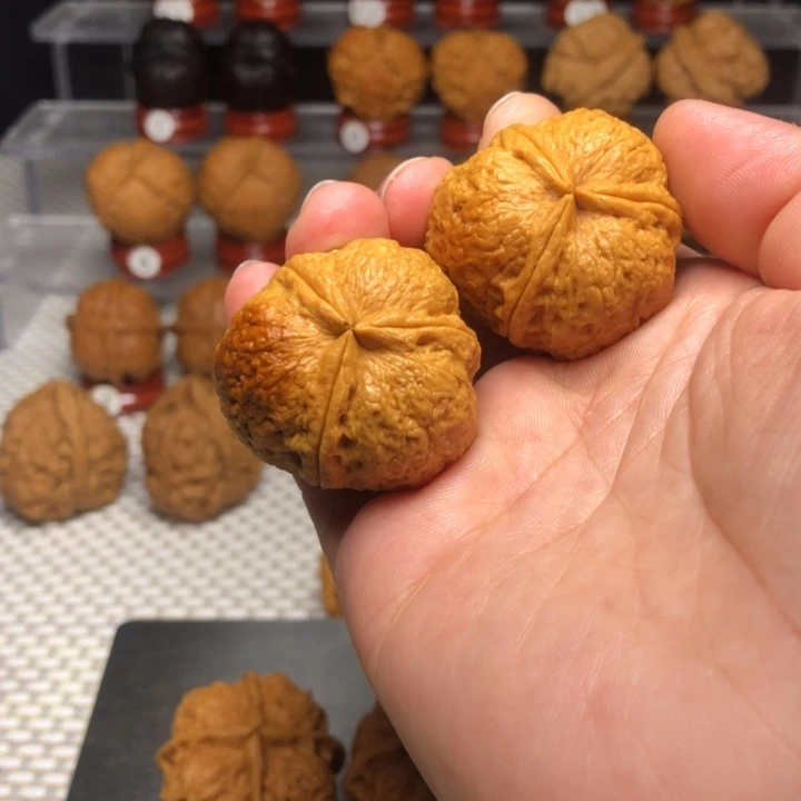 原***儿文玩核桃把件50满天星