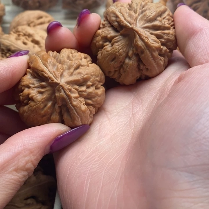 ，***张吊坠文玩核桃霸王龙