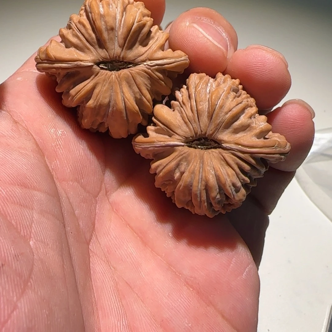 核桃手串/手链41全品蓟县四座楼