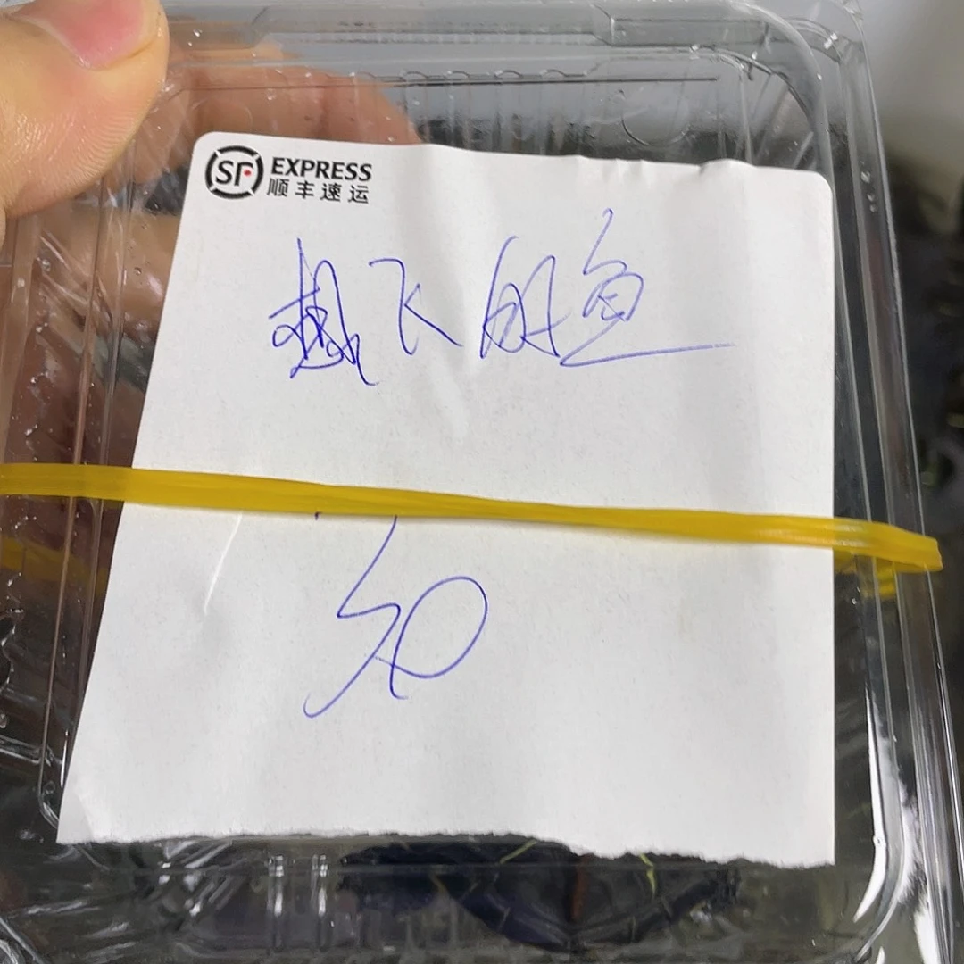 苏北111111111111