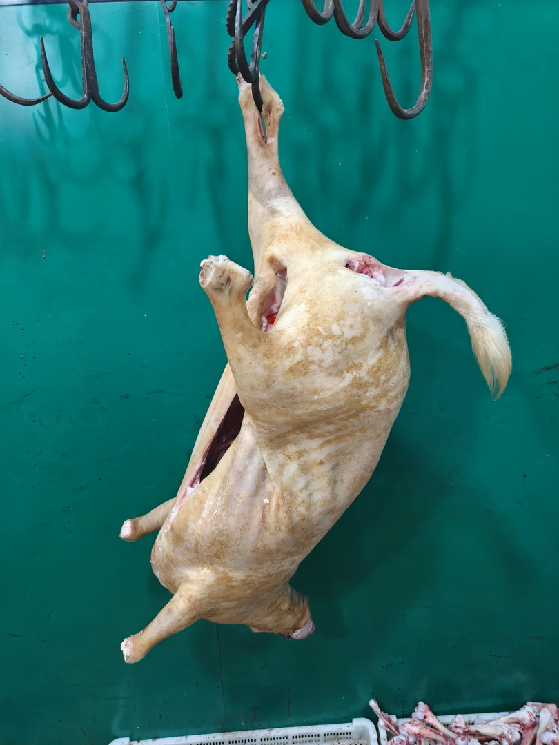 新鲜现宰带皮羊肉生鲜火烤顺丰包邮整只生鲜现杀现卖新鲜羊肉