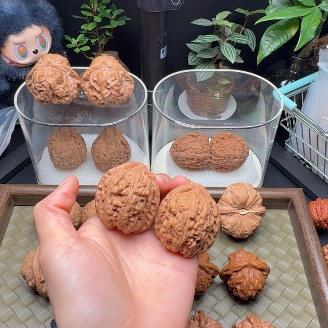 把件龙脊菩提全品赤龙鸡心39