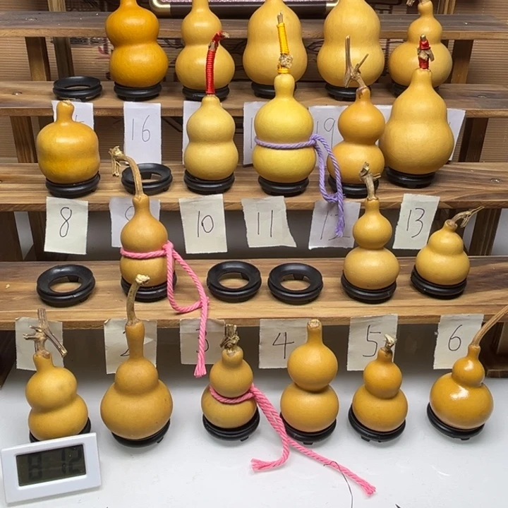 三***书啦啦啦啦啦啦啦啦啦