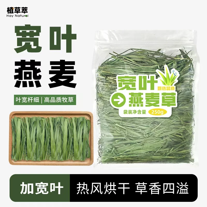【甄选宽叶燕麦 几近纯叶】烘干燕麦草草段高纤维草饲料豚鼠荷兰猪