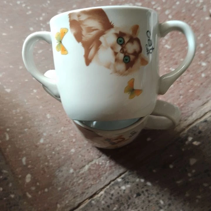 摆件陶总是会员卡