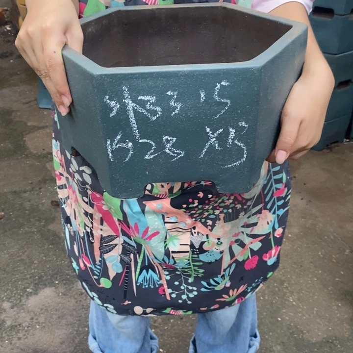 紫砂花盆只顾看手机的日子