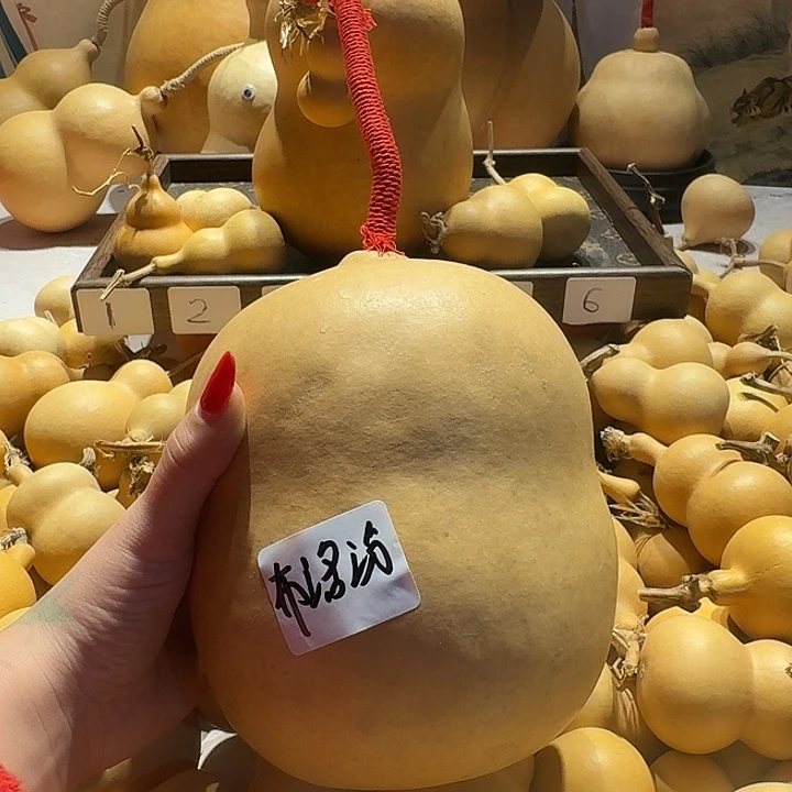 ¥***芬直播间火爆火爆火爆