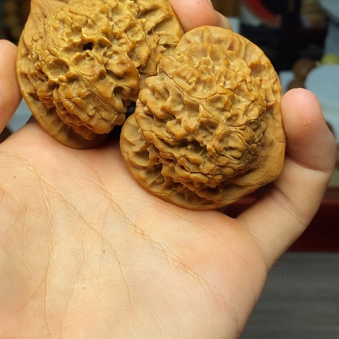 橄榄核手串/手链hhhhhhhhhhhhhhhb