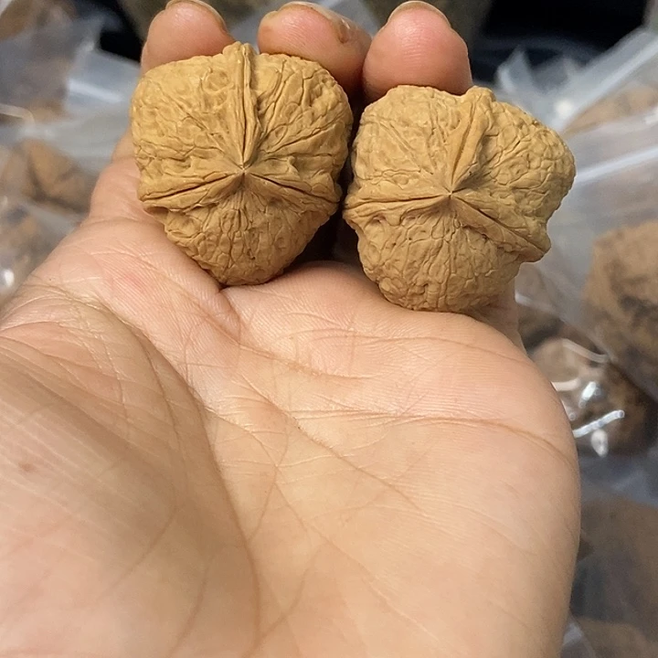 文玩核桃把件云南铁核桃基地65