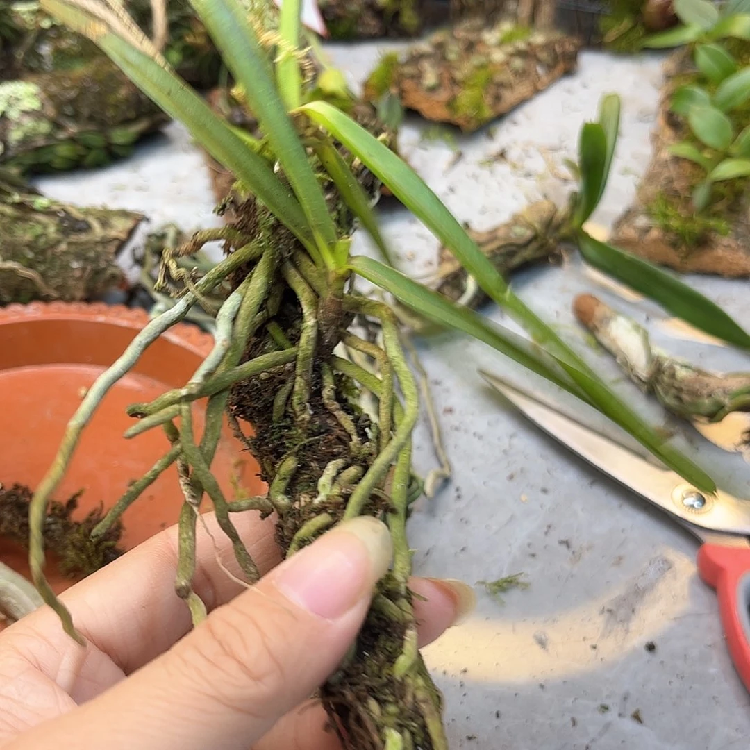 海*15。。。。。。。。。。。。。。。。