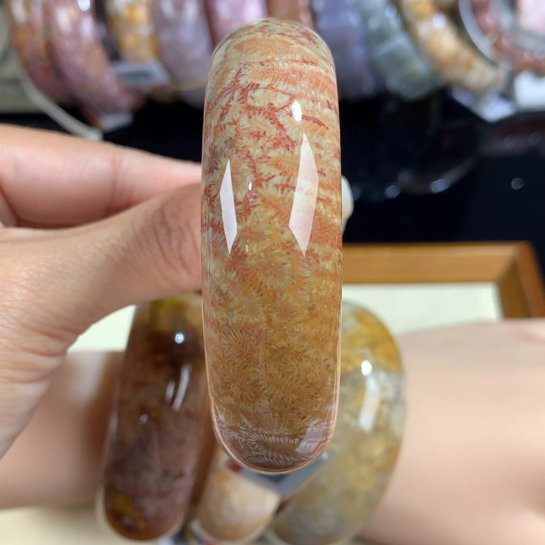 硅化珊瑚（珊瑚玉）未镶嵌吊坠(赠链)21号57圈口