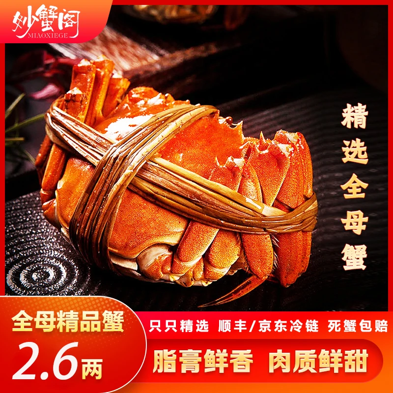 妙蟹阁【活蟹】大闸蟹 全母蟹2.6两4对8只 品牌礼盒 冷链包邮