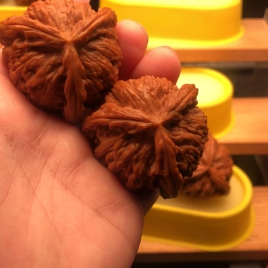 北***族核桃核桃核桃核桃核桃