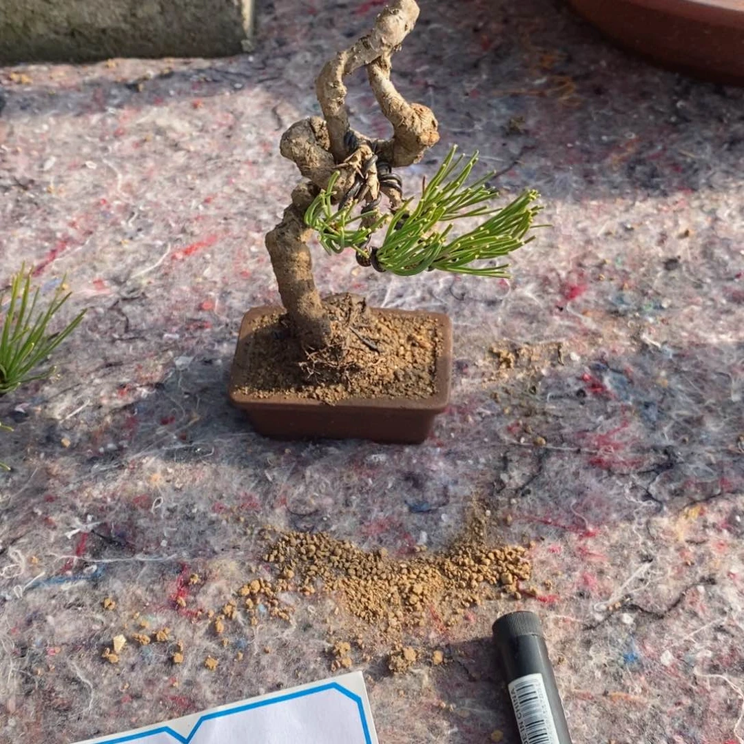 手工艺品琉璃阿*