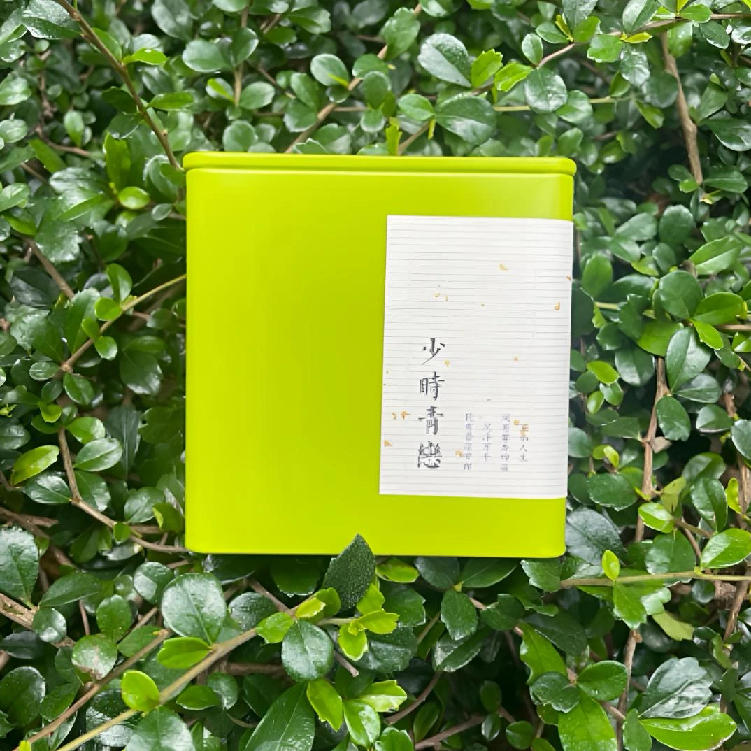 【少时青恋】雷山银球茶贵州绿茶银球茶叶特级50g罐装