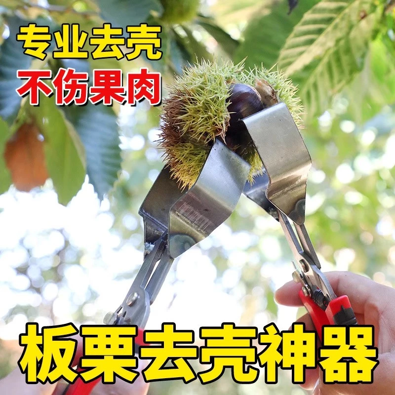 生板栗剥壳神器新鲜栗子刺球开口夹防刺手去壳钳子开壳工具脱蓬器