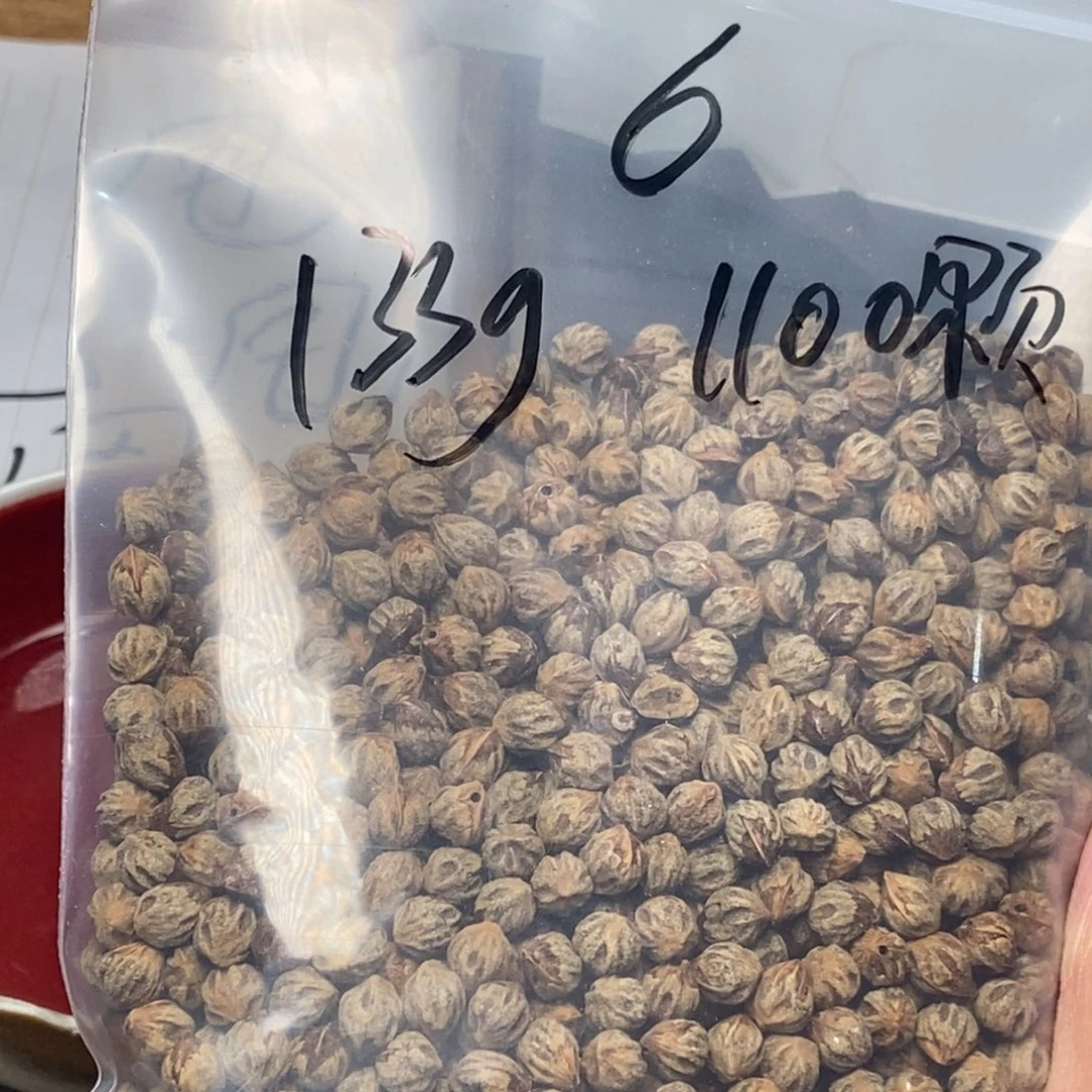 柏香籽/百香籽吊坠