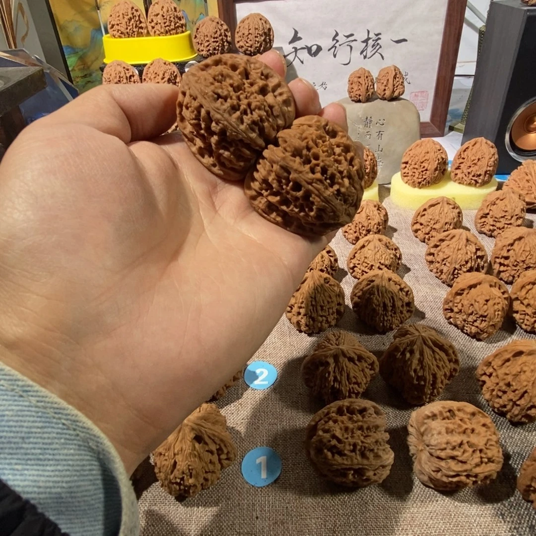 木质类一代丑三角