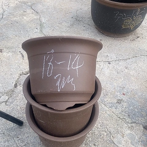 中国宜兴紫砂花盆，