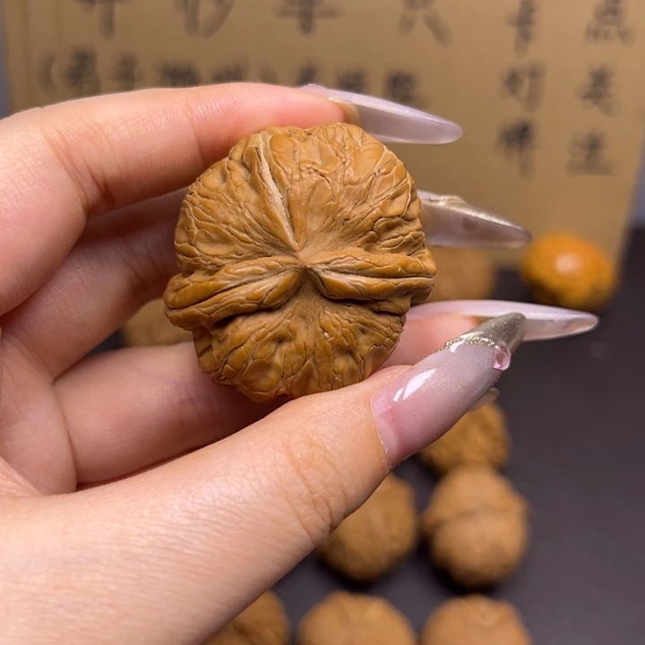 飞***翔菩提籽类元宝单只异型有瑕