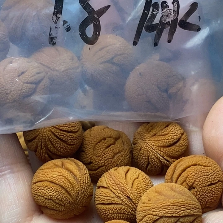 木质类秦岭山野生桃核