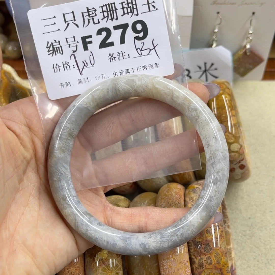 葭***矢未镶嵌h硅化珊瑚（珊瑚玉）
