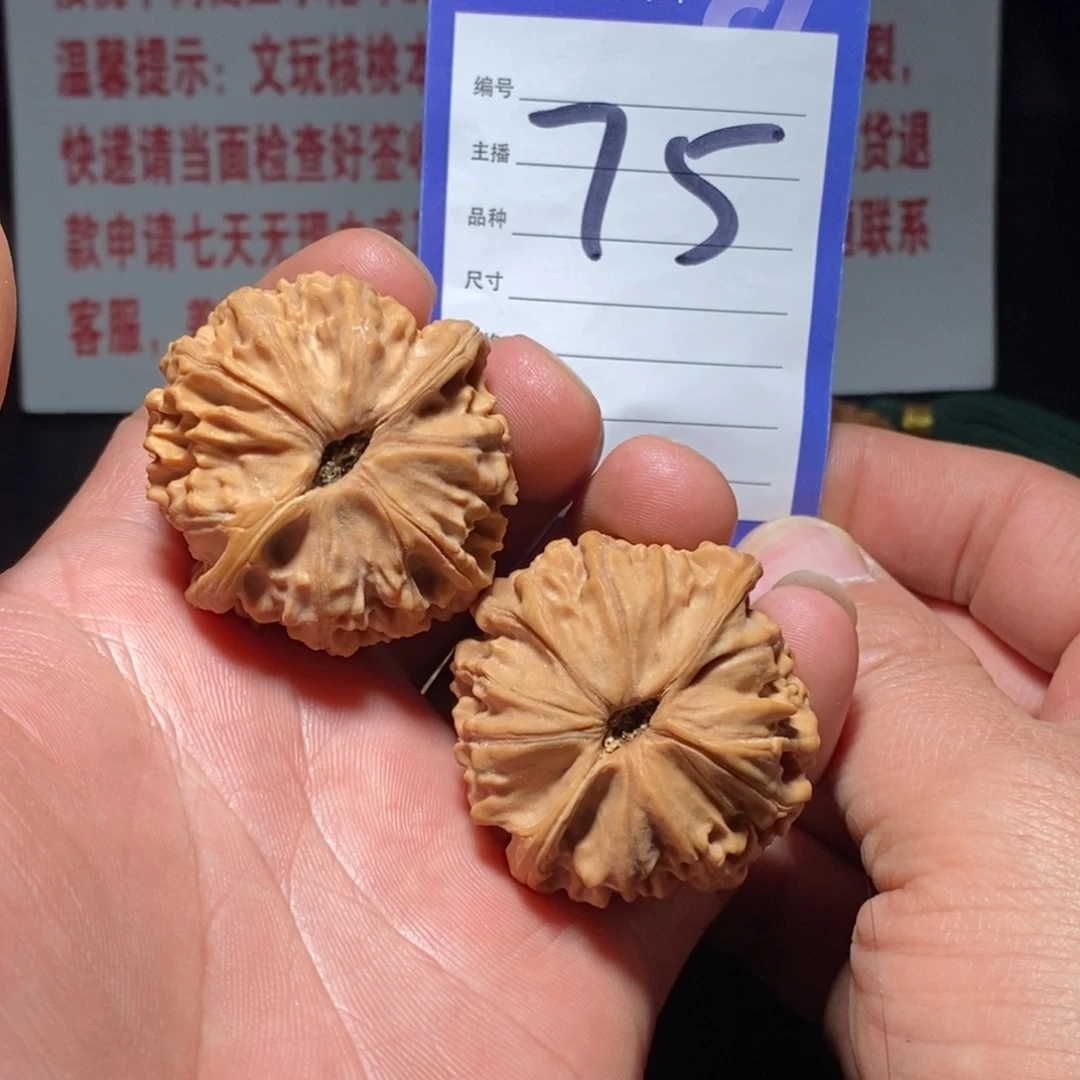 文玩核桃把件42天地有修