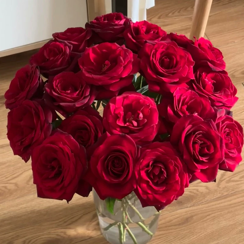 【赤子之心】玫瑰【3单包邮顺丰空运/95%市区次日达】