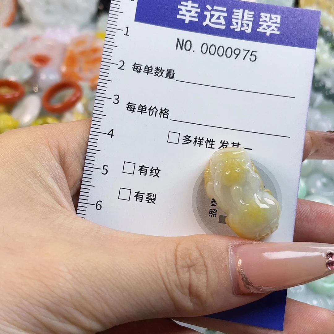 翡翠未镶嵌颈饰hhh