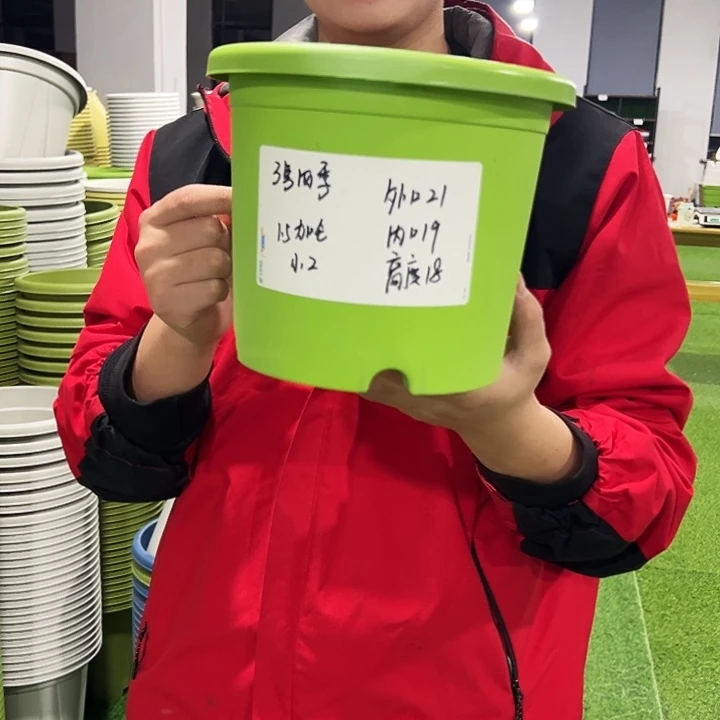 特价3号口21高18白色6只无托