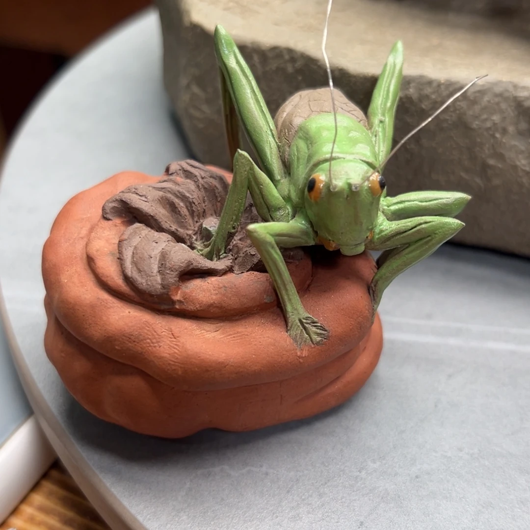 阿***初茶宠紫砂紫砂紫砂紫砂紫砂