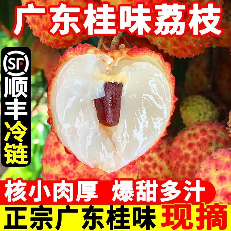 【顺丰包邮】广东桂味荔枝茂名高州新鲜现摘应季水果整箱2/4.5斤