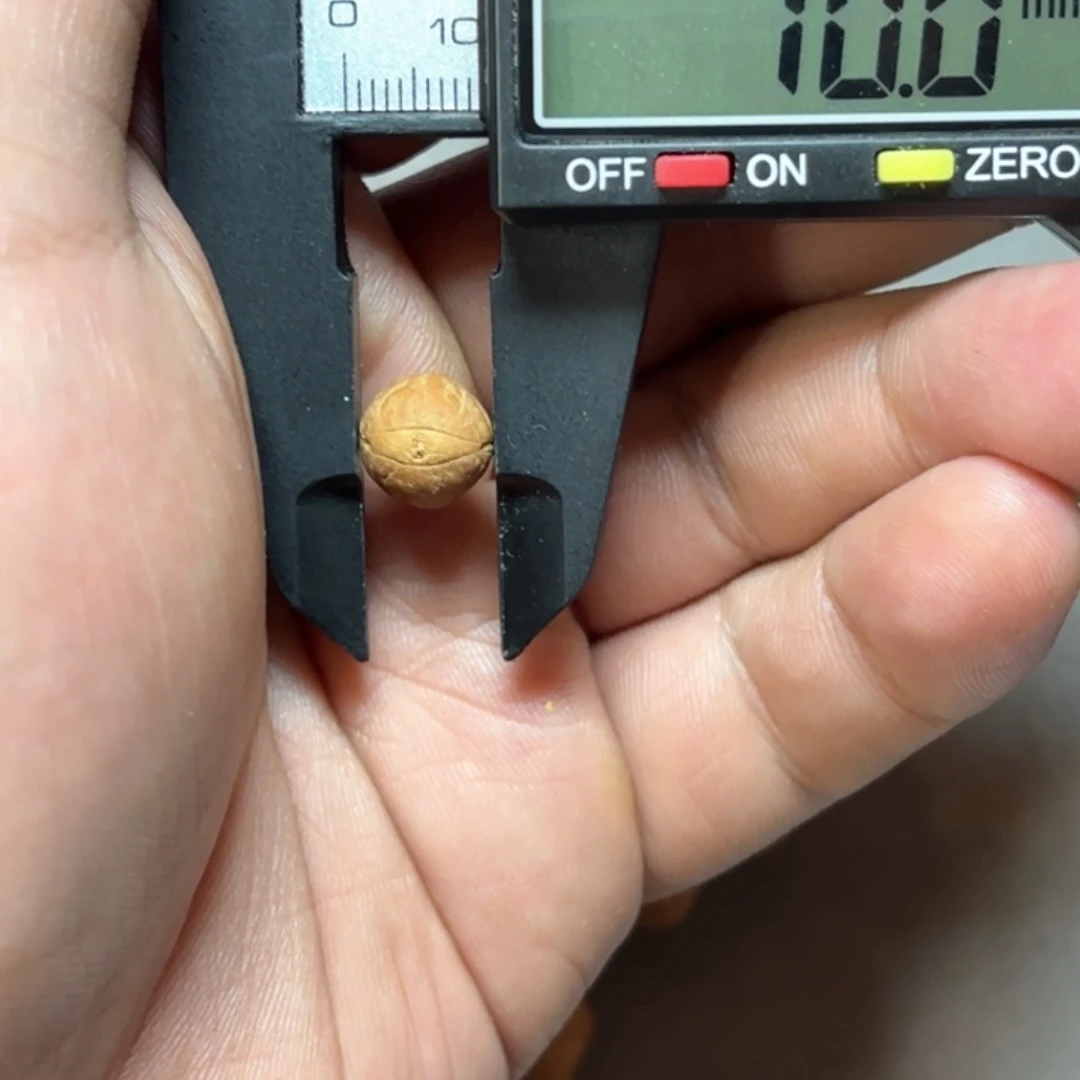 凤眼菩提吊坠十小单颗打孔，封眼（打孔后不退不换）