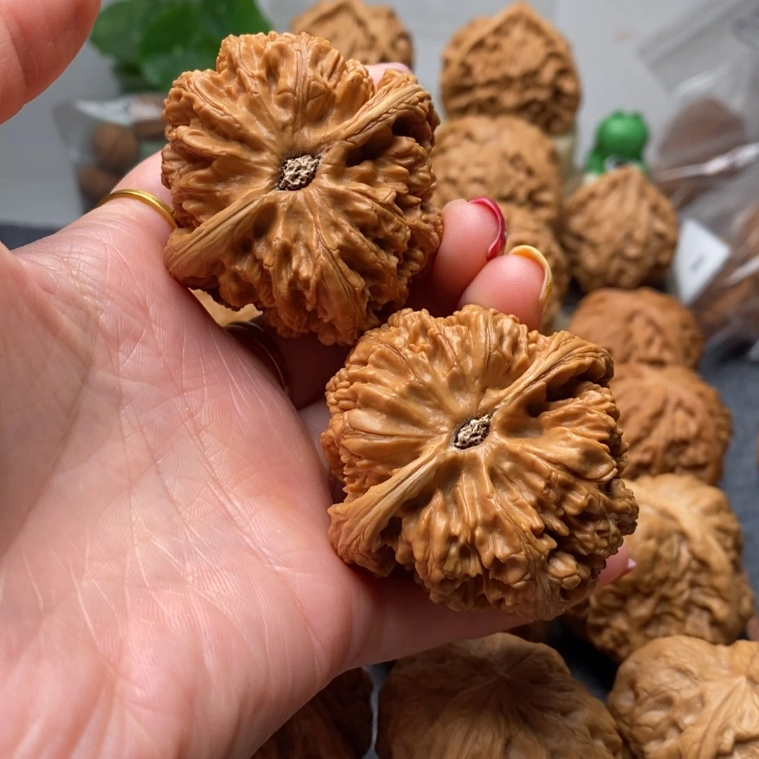 文玩核桃吊坠48粗筋