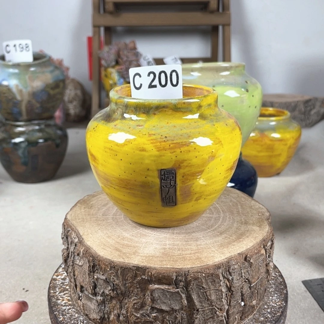 紫砂花盆新品坛子 内口6.2