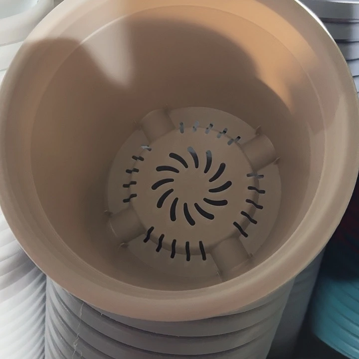 四季5号灰白无托5个