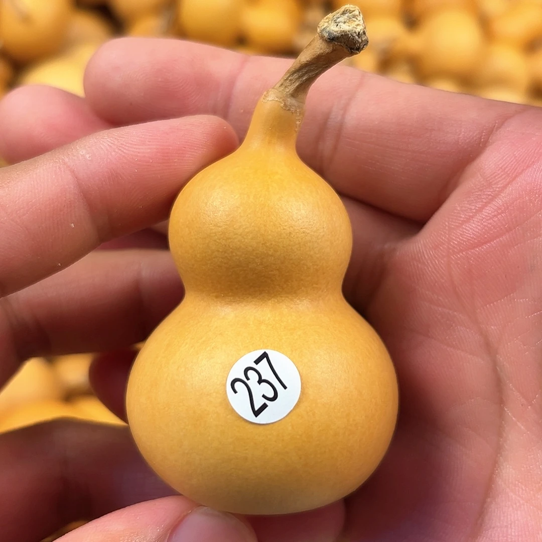 三葫芦葫芦葫芦葫芦 237