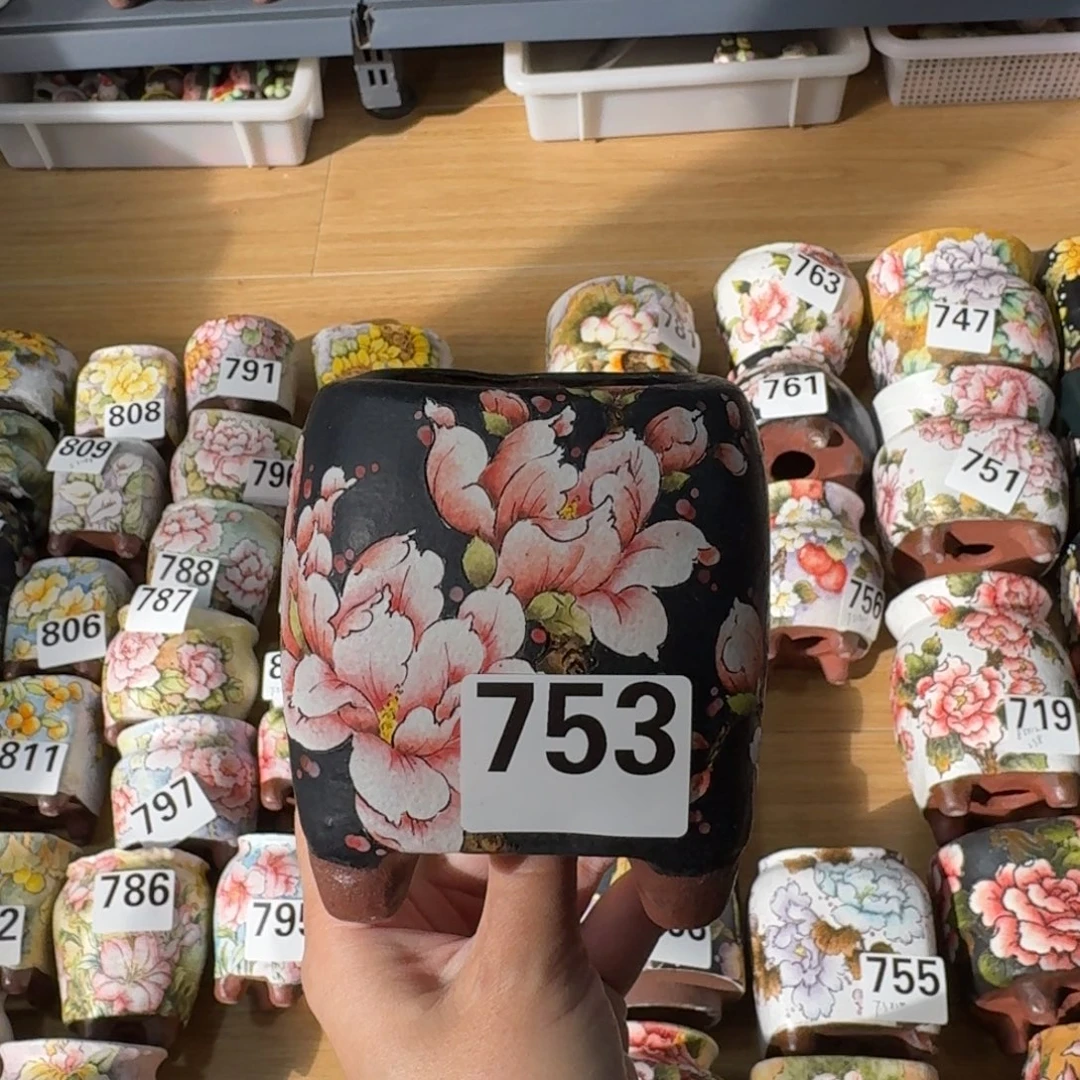 655655633559885566888