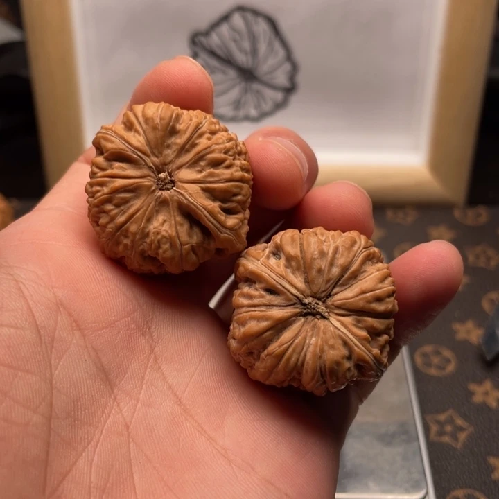 核桃金蝉子平底锅文玩核桃