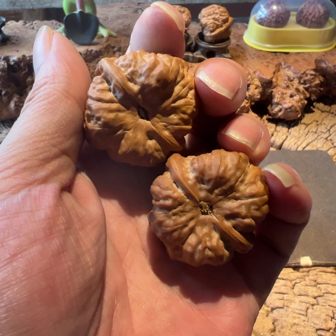 十***一文玩核桃把件文玩核桃精品蛤蟆头