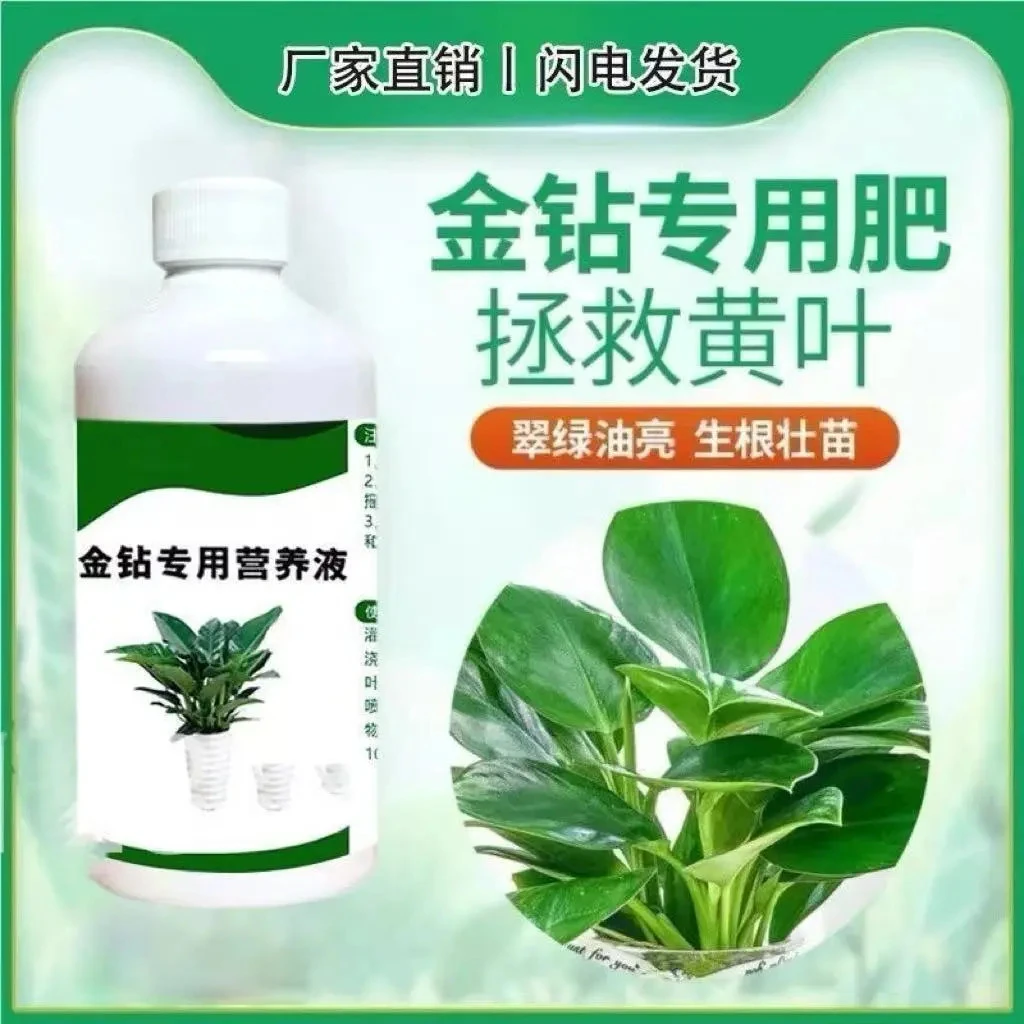 大叶金钻专用肥黄叶卷边绿植通用型免稀释植物花肥料