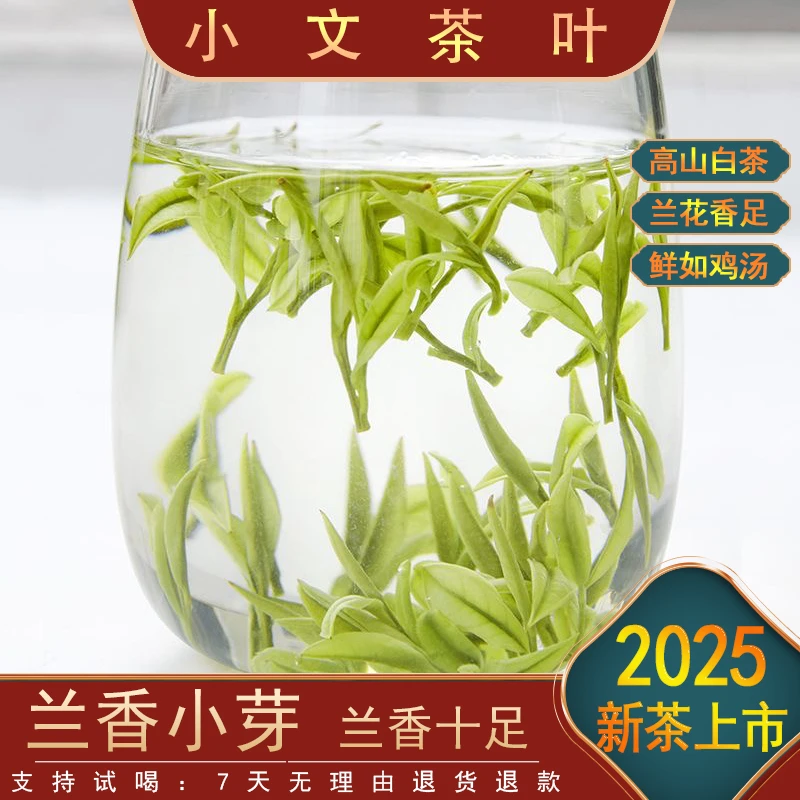 【兰香-小芽】2025新茶-A8 鲜爽回甘 品质推荐
