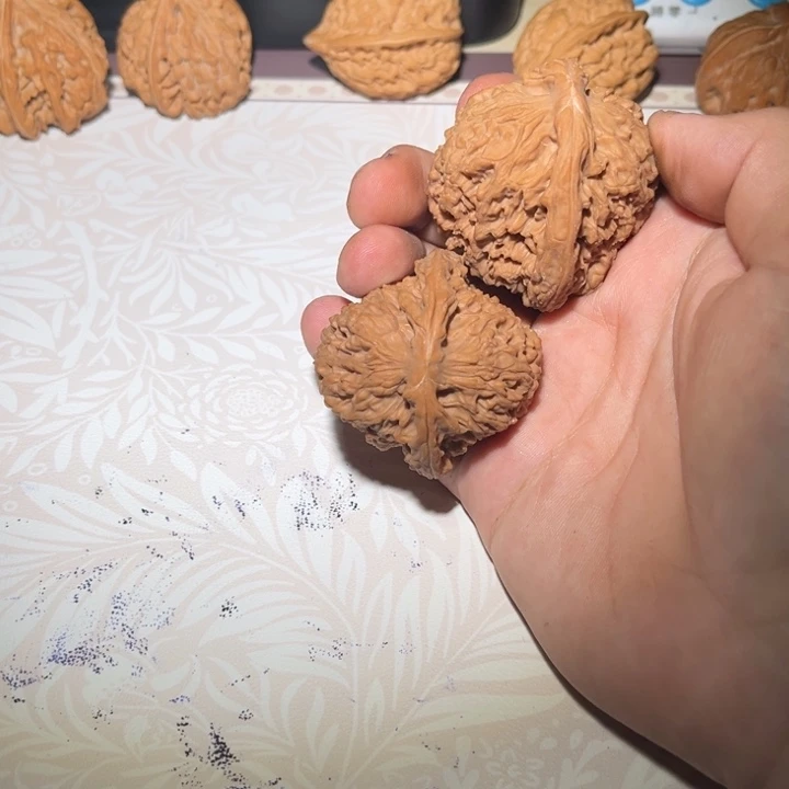 树王南疆石红皮全品