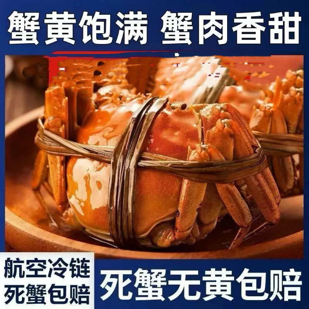 【精品大蟹】大辽河母蟹2.2-2.6两规格10/12只香草绑绳礼盒装