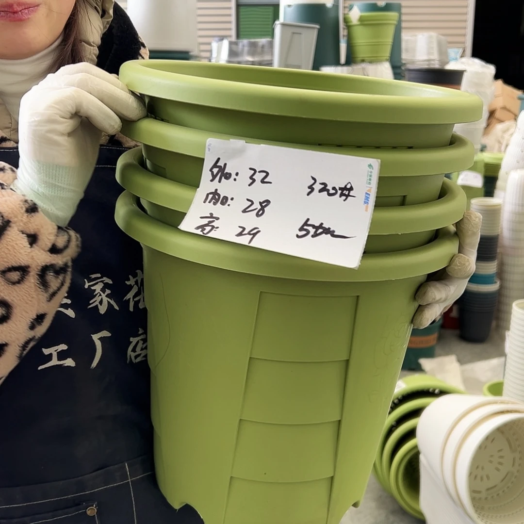 玫瑰盆320#果绿5个无托